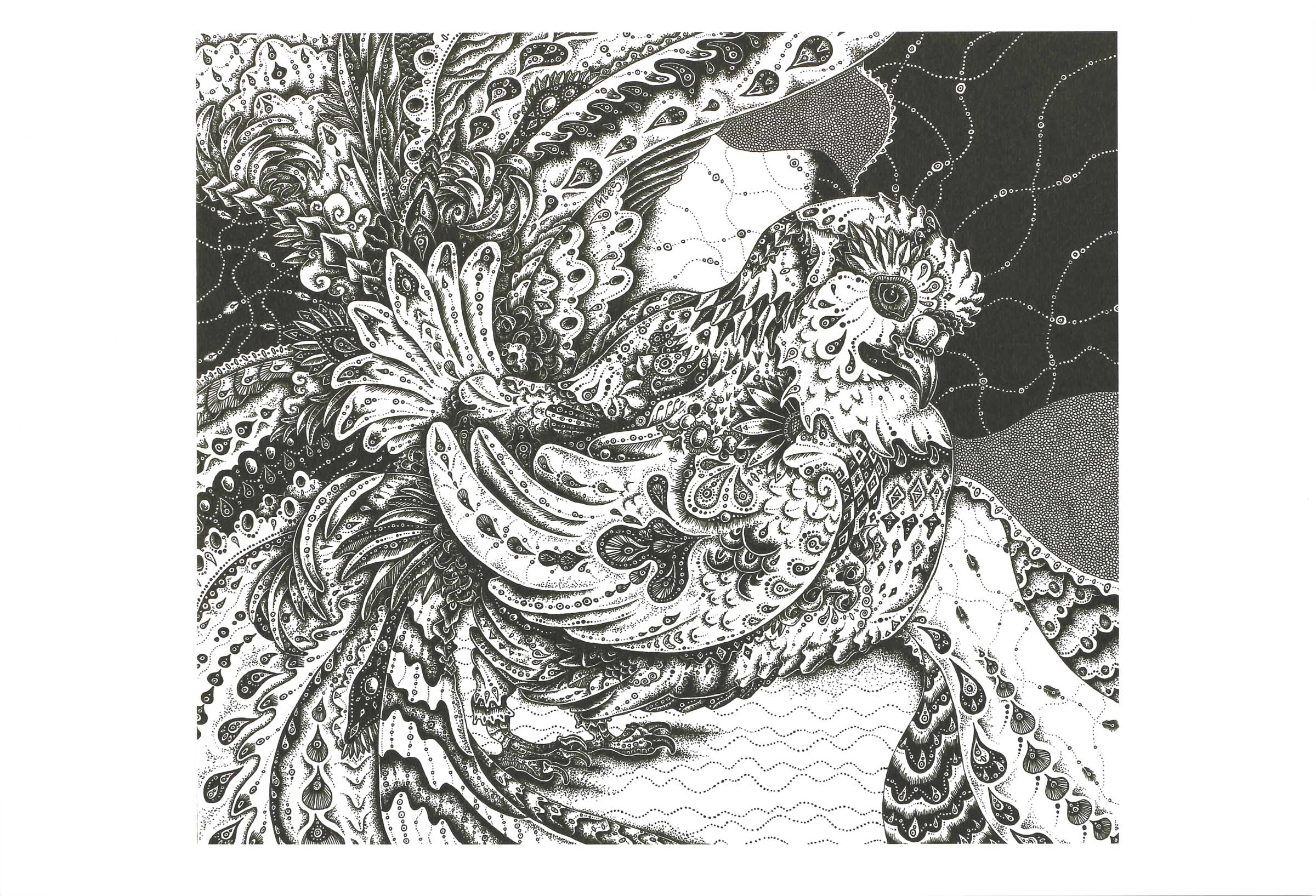 版画 クジャクバト