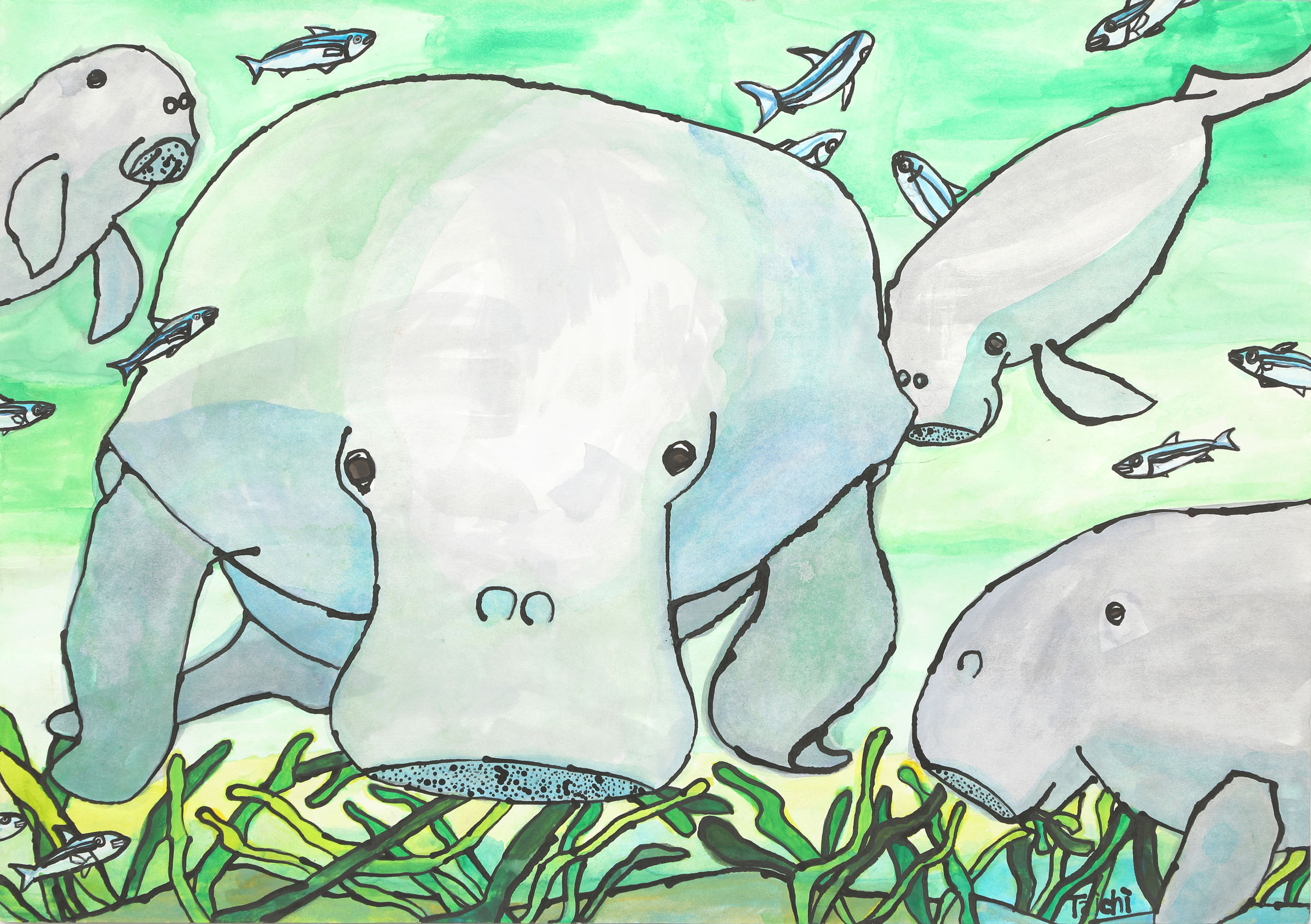 ジュゴンのいる海