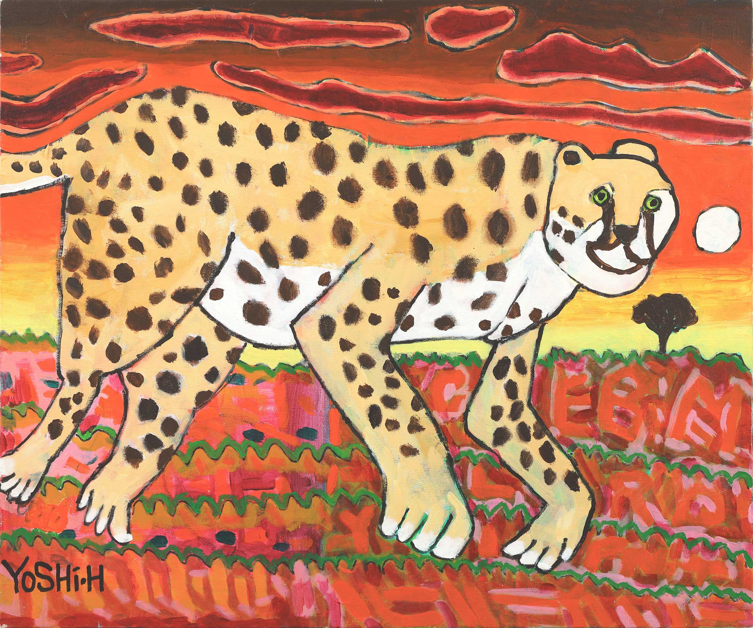 チータインサンセット