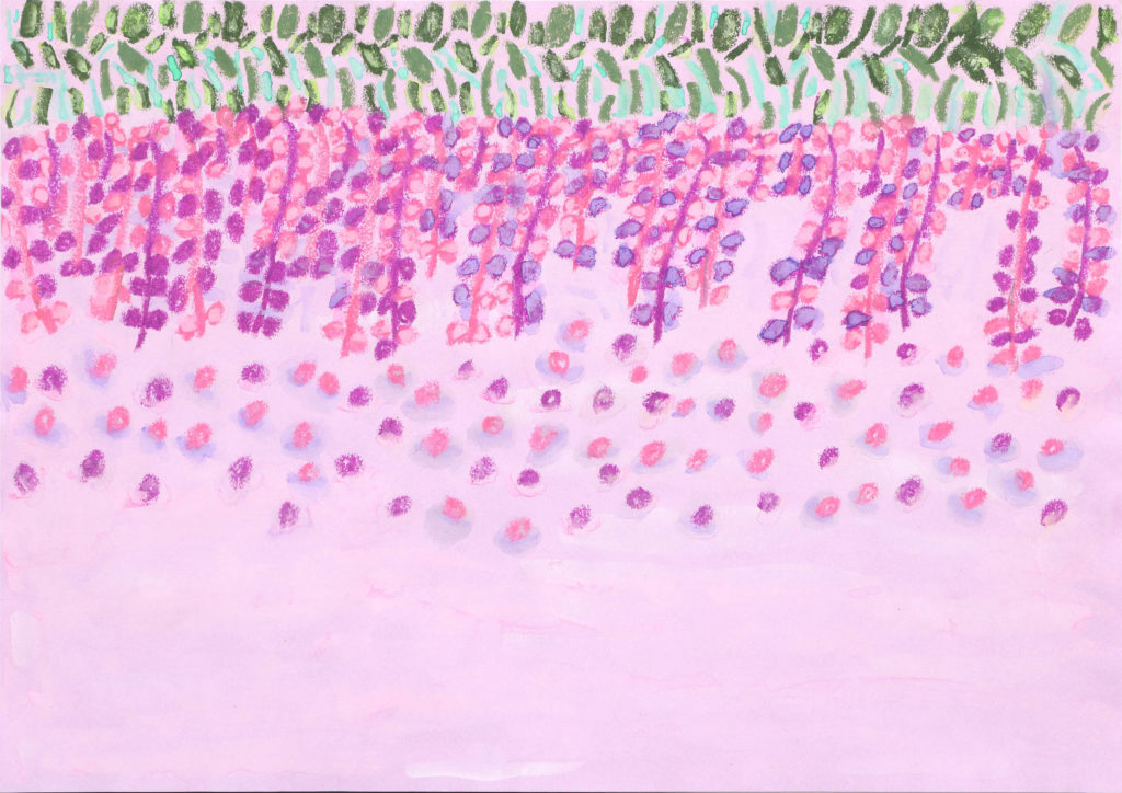 きれいな藤の花