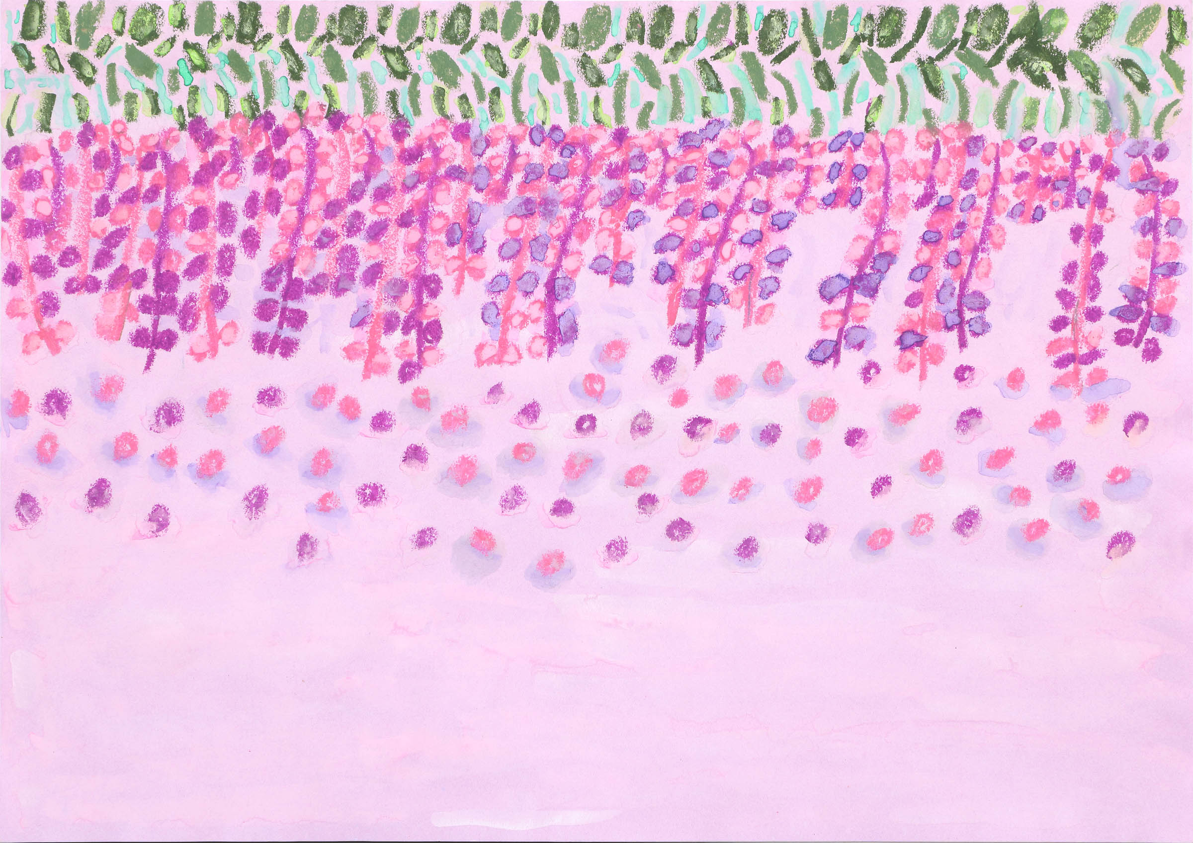 きれいな藤の花